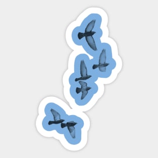 flying birds Sticker